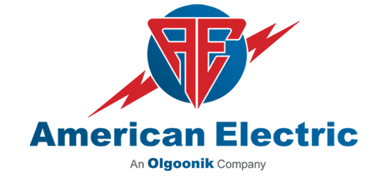 american electric olgoonik company